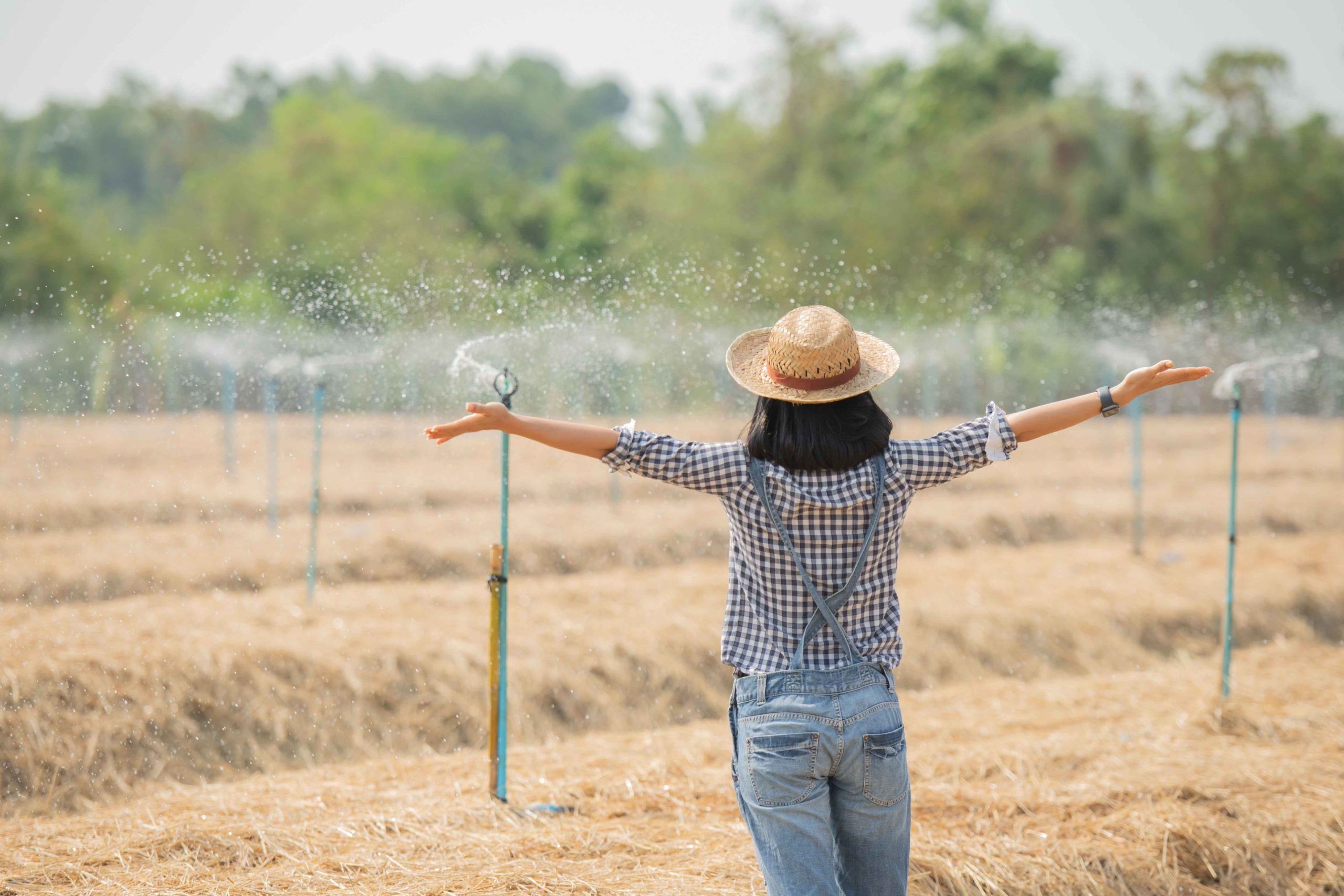 Read more about the article What Effect Does Farming Have on Air Quality?